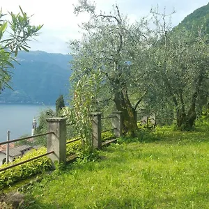 Gli Ulivi Di Nesso